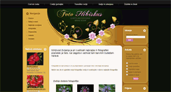 Desktop Screenshot of fotohibiskus.com