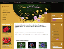 Tablet Screenshot of fotohibiskus.com